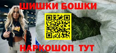 молекула духа Будённовск