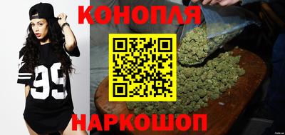 молекула духа Будённовск