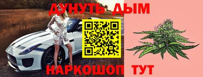 молекула духа Будённовск