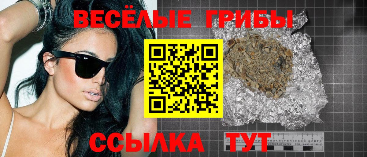 Псилоцибиновые грибы Magic Shrooms  цены наркотик  Чистополь  Вход с VPN 